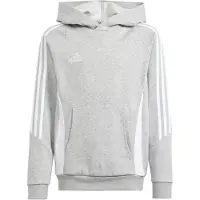 Adidas Tiro24 Hoodie Gris 15-16 Years Enfants