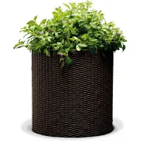 Keter Puku pods Medium Cylinder Planter bruns 29197835590 (36 x 37.50 cm)