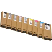 Epson T6037 - Noir clair - Cartouche d'encre