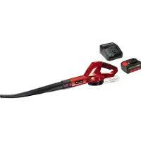 Einhell GC-CL 18 Li E Akku 1462476+1668363 Souffleur de feuilles incl. batterie, incl. chargeur 18 V (Fonctionnement sur batterie, Souffleur de feuilles)
