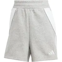Adidas Tiro24 Sweat Shorts Gris XS / Regular Femme