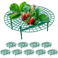 Relaxdays 10x râpes à fraises (30 cm, 30 cm)