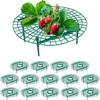 Relaxdays 15x râpes à fraises (30 cm, 30 cm)