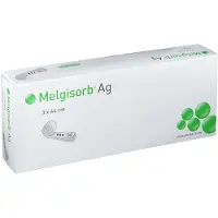 Molnlycke Health Care Melgisorb AG 3x44 cm 10 pc(s) Compresses
