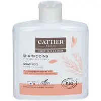 Cattier Shampooing bio au romarin pour cheveux gras, 250 ml,