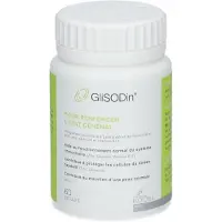 Isocell Glisodin Statut Général 60 gélules