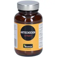 Hanoju Extrait d'artichaut 500 mg gélules 90 pc