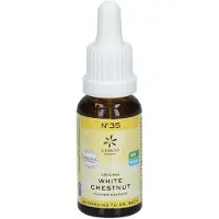 Hager Pharma GmbH Fleurs de Bach No.35 Marronnier blanc20 ml