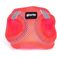 Big Buy Cooking Harnais pour chien Gloria Trek Star 27-28 cm 31-34,6 cm Rose XS