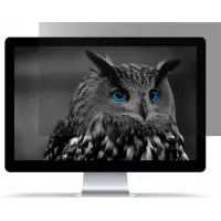 Natec OWL 15.6" 16:9 (15.60", 16:9)