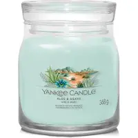 Yankee candle Aloès et Agave Signature Bougie parfumée - 368,0 g
