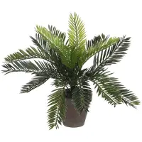 Mica Decorations Plante Artificielle De Palmier Sago