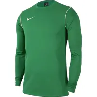 Nike Dri-fit Park 20 Long Sleeve T-shirt Vert 4-5 Years Enfants