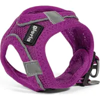 Big Buy Cooking Gloria Air Mesh Trek Star Hundegeschirr XS XS
