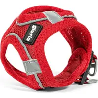 Big Buy Cooking Harnais pour chien Gloria Trek Star 27-28 cm 31-34,6 cm Rouge XS