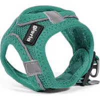 Big Buy Cooking Gloria Air Mesh Trek Star Hundegeschirr L L