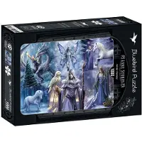 Bluebird Puzzle Puzzle Anne Stokes - Winter Fantasy - 1000 pièces