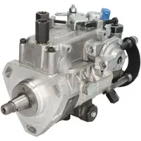 Delphi Pompe d'injection 8520A960G