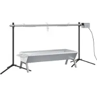 vidaXL Gril rotisserie Automatique Acier inoxydable