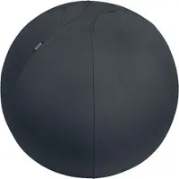Leitz ERGO SIT BALL 65CM D.GREY