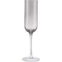 Blomus FUUMI Champagnergläser, Rauchglas, 4 Stück., Verres à vin, Gris