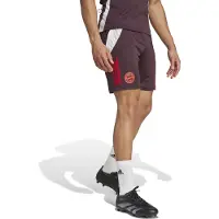Adidas Pantalon de sport 'FC Bayern Tiro 24' | XXL | male