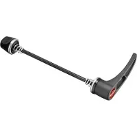Dt Swiss Rws 10 Steel Through Axle Argenté 5 x 100 mm
