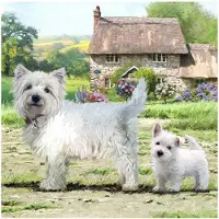 Craft Buddy Carte de voeux en cristal Westie 18x18cm