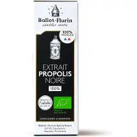 Ballot-Flurin Extrait Propolis Noire 15 ml Goutte(S) Orale(S)