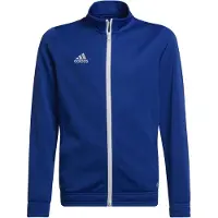 Adidas Entrada 22 Tracksuit Jacket Bleu 11-12 Years Enfants
