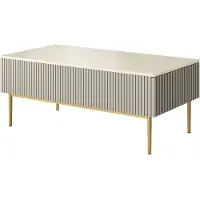 Bogart Table basse Nicole, surface texturée, 2 tiroirs, dimensions 120x48x60 cm, idéale pour le salon, finition cachemire/dorée