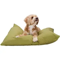 Maxxpro lit pour chien coussin pour chien 60 x 80 cm - lit pour grand chien - couverture pour chien avec fermeture éclair - polyester et microfibre - vert