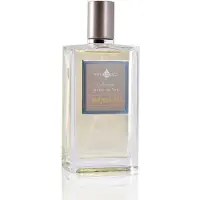 Affinessence Gingembre Latte parfémovaná voda 100ml