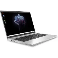 HP Elite Mobile Thin Client mt645 G7