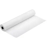 Epson Presentation Paper HiRes 120 - Papier pour présentation - Rouleau (91,4 cm x 30 m) - 120 g/m² - 1 rouleau(x) - pour Stylus Pro 11880, Pro 9700, Pro 9890; SureColor SC-P20000, SC-T5200...