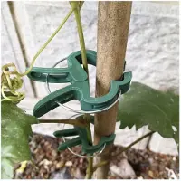 Gardlov Pinces de fixation pour plantes, idéales pour les tomates et les fleurs – lot de 108 pièces