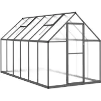 vidaXL Serre avec cadre de fondation Anthracite 334x169x195 cm Alu