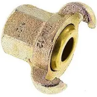 Tameson Fonte DN 17 DIN 3489 Accouplement à griffes Rp 1/2'' Femelle