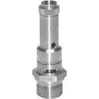 Tameson G 1/2'' Acier inoxydable 316 Ti Soupape de sécurité préréglée 42 bar (609.17 psi) DN 8