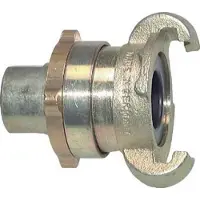 Tameson Fonte DN 17 DIN 3238 Accouplement à griffes G 3/4'' femelle