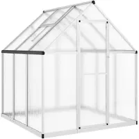 vidaXL Serre avec cadre de fondation argenté 169x169x195 cm Alu