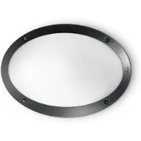 Ideal Lux - Luminaire technique 1xE27/23W/230V noir IP66
