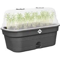 Elho Serre Rectangulaire en Plastique Elho pour Jardinage Domestique