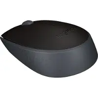 Logitech M171 souris Ambidextre RF sans fil Optique 1000 DPI