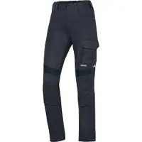 Uvex Pantalon de travail suXXeed industry gris, graphite 42 (42)