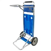 Colorbaby Multipurpose Car With Extensible Bars Supports Aktive 30kg Argenté