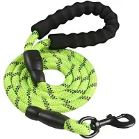 Intirilife Nylon réfléchissant laisse de chien animal de compagnie en vert avec 1,5 mètres de longueur pour promener votre animal de compagnie
