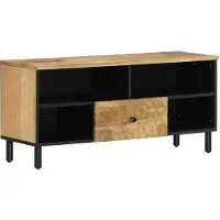 vidaXL Armoire TV 100x33x46 cm en bois massif de manguier