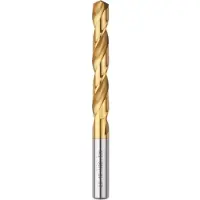 Bosch 2608596781 - Foret à métaux rectifiés HSS-TiN, DIN 338, 13 x 101 x 151 mm