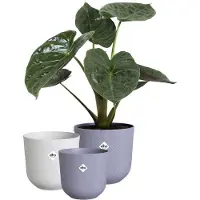 Elho Lot De 3 Pots De Fleur Rond Jazz - Ø14xh13,1, Ø16xh15,3, Ø19xh17,6 Cm - 7 L - Lila Et Blanc